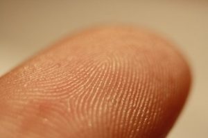 Prometric's fingerprint verification process